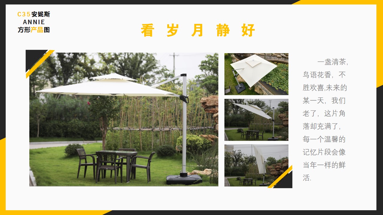 中罗马伞