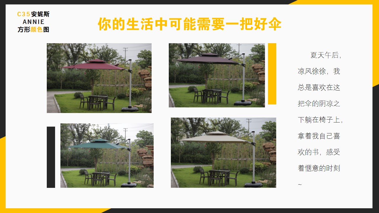 中罗马伞