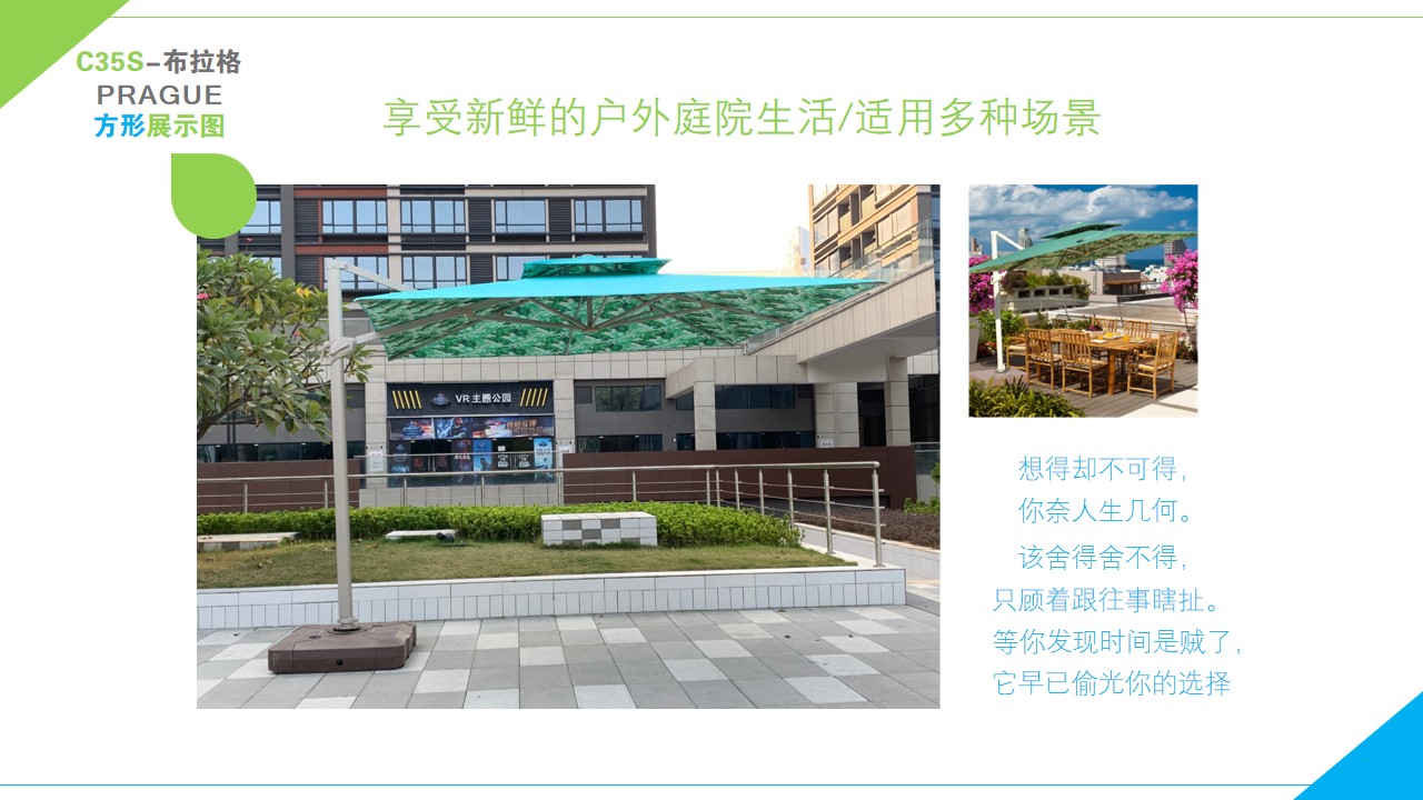 中罗马伞