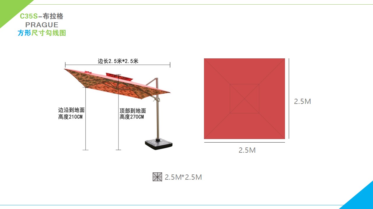 中罗马伞